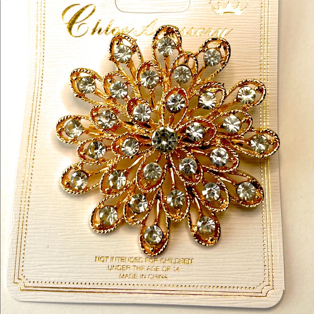 NEW Beautiful Brooch